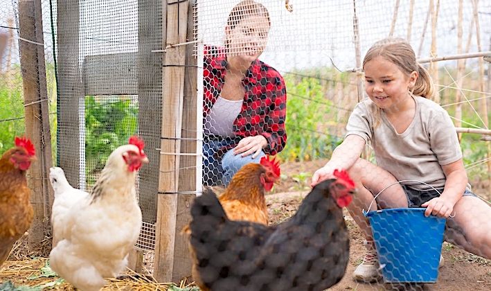 Dans le Gers, une gamme complète de produits pour les animaux